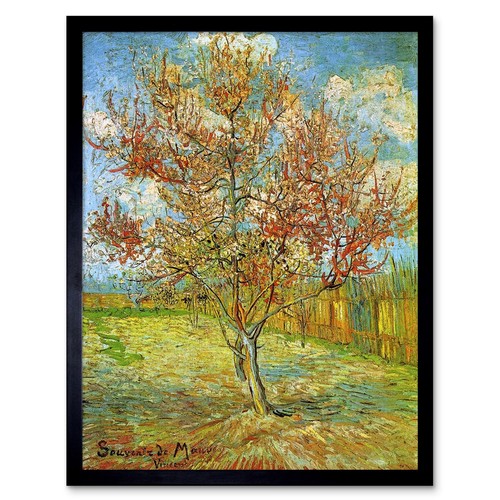 Vincent van gogh pink - van, peach