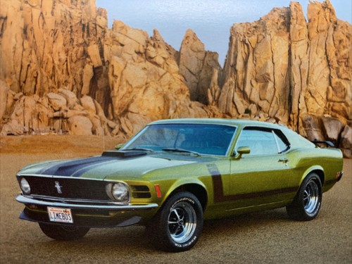 1970 ford mustang boss - 1970,