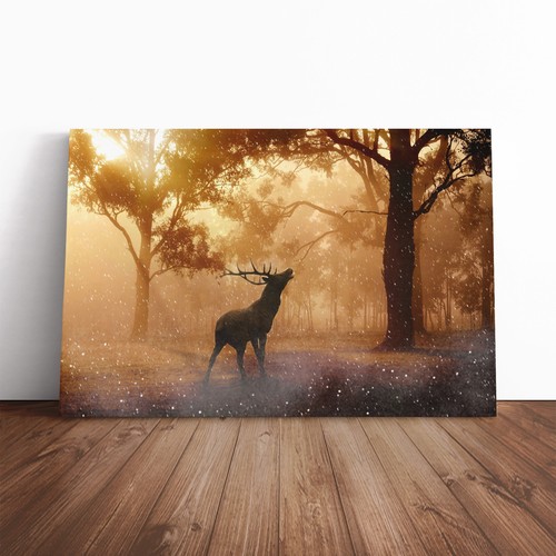 Stag autumn forest - autumn,