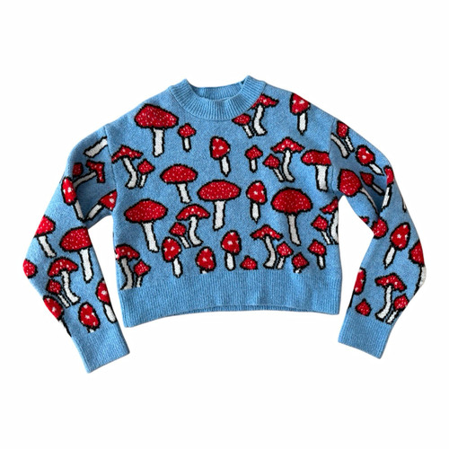 Zara mushroom print knit - zara,