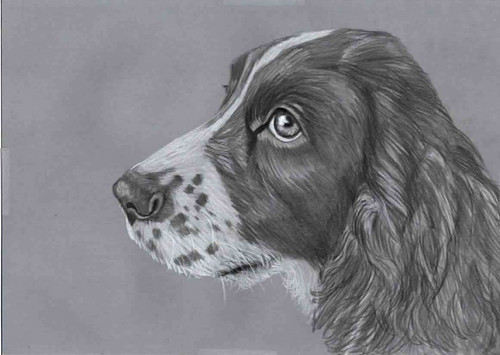 Original pencil drawing