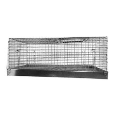 Bird Carry Cage - Large - Lion