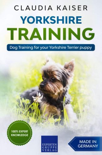 Yorkshire training dog - training:,