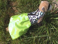 Ferret Harness Dress - Lime