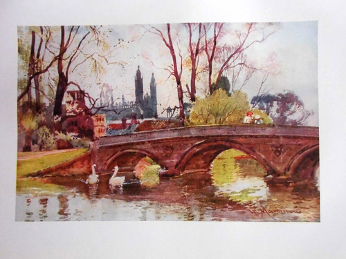 Edwardian cambridge print - cambridge,
