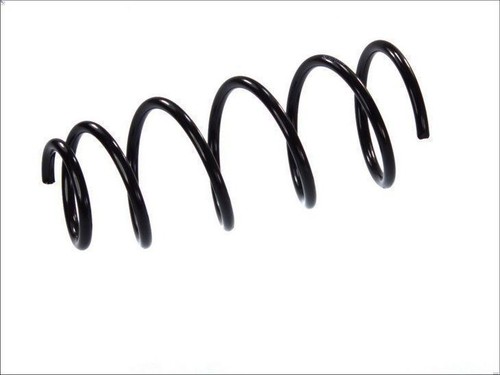 Coil spring magnum - spring, technology