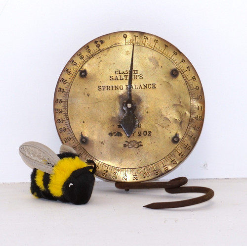 Antique class salters - class, brass
