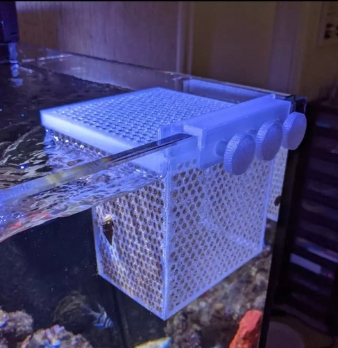 Marine fish invert - fish, |
