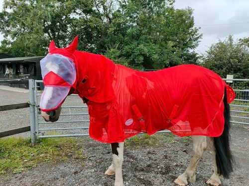 Equipride horse fly - horse, rug