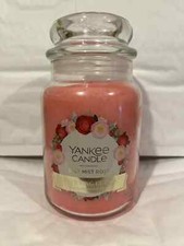 Salt Mist Rose Yankee Candle