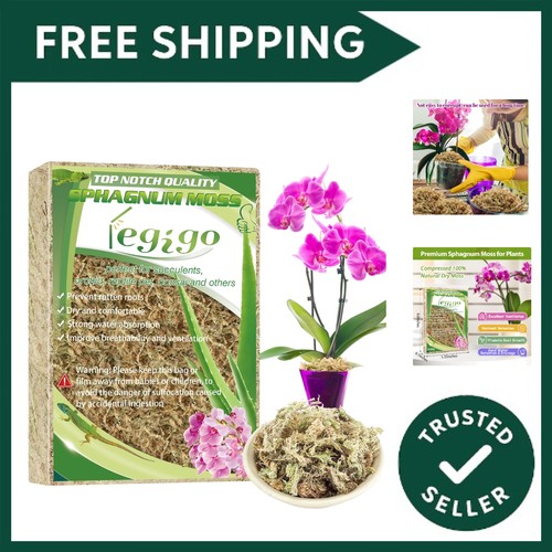 Dried sphagnum moss for - 4l,