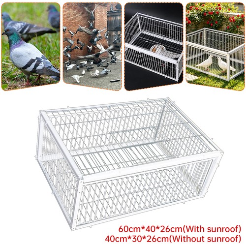 Pigeon trap channel one - channel, way