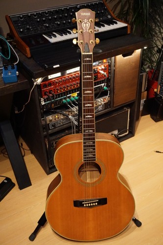 Yamaha acoustic guitar jumbo - yamaha,