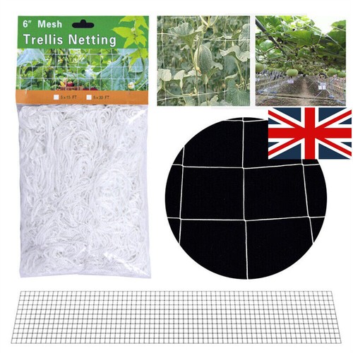 Plant support netting - plant, fruit