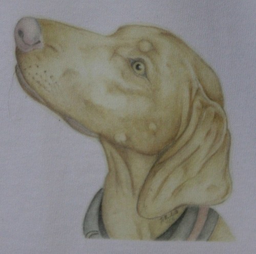 Vizsla shirt sweatshirt - t-shirt,
