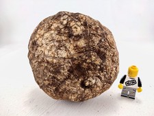 3.5" Unopened Geode Break Your