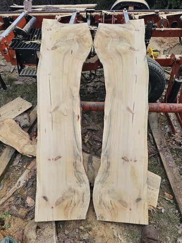 Scots pine slabs fresh - 5,