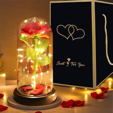 Led-Light Red Rose Gift For Girlfriend Boyfriend GF BF Wife Christmis Xmas