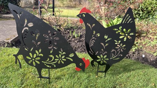 Set black hens - set,