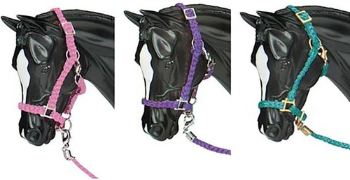 Colorful miniature horse - miniature,