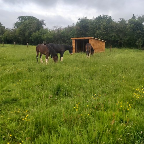 Mobile field shelters - field,