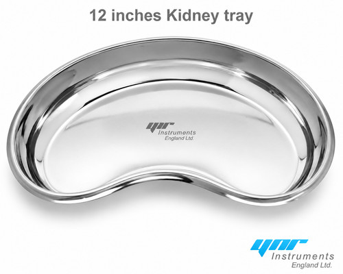 Kidney dish tray - dish, stainless