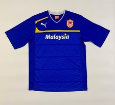 Cardiff city wales - cardiff, 2012/2013