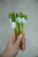 White Glass Snowdrop Flower