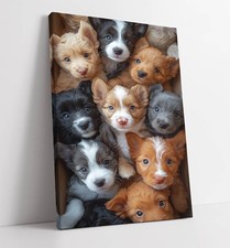 Group cute little puppies - group,