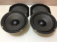 Cerwin Vega Midrange Speakers