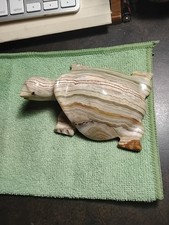 Onyx Turtle Tortoise