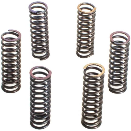 Clutch spring kit high quality - clutch,