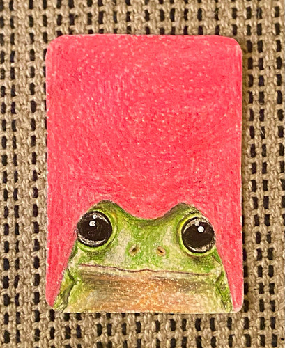 Original aceo miniature frog - original,