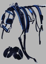 Nylon webbing driving harness