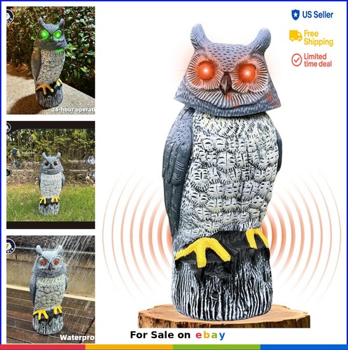 Solar garden owl statue 9 - solar, 16.9