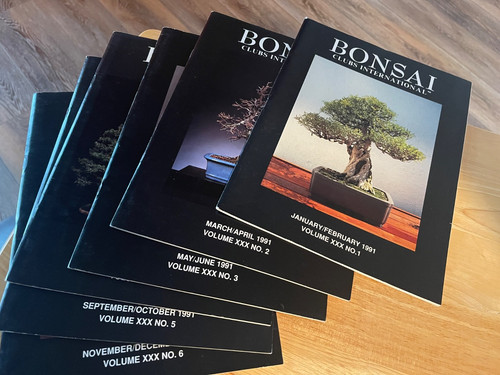 Rare find bonsai club - rare,