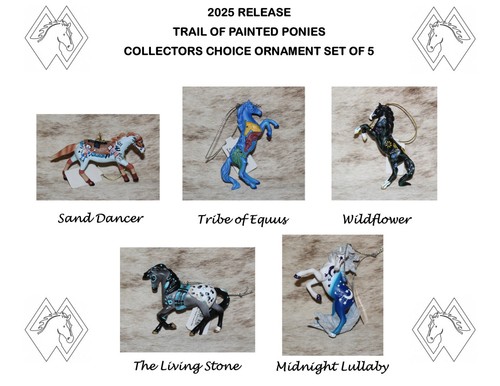 Trail painted ponies 2025 - painted, ponies~2025