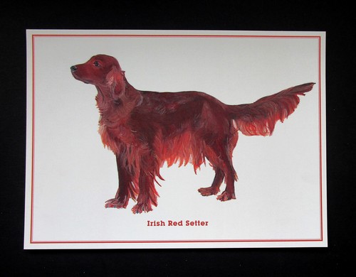 Craft beautiful 2011 red - craft,