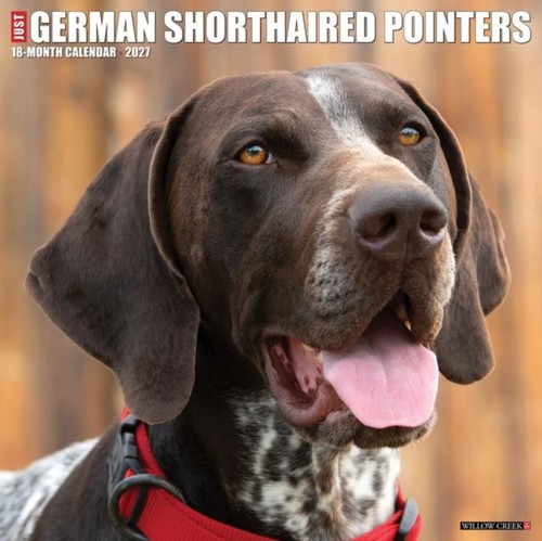 German shorthaired pointers - german,