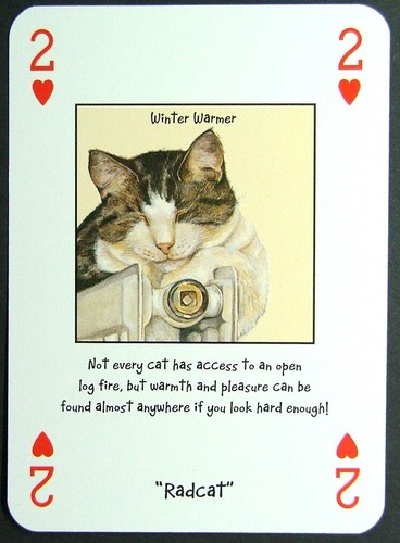 Playing card magnificent - 1,