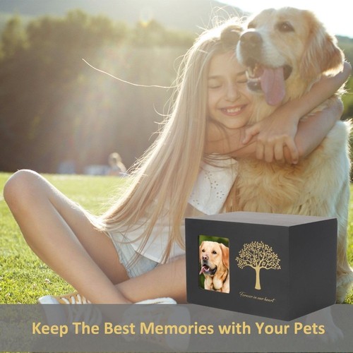 Creative mini pet urn - creative,