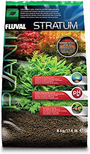 12695 plant and shrimp - 12695,