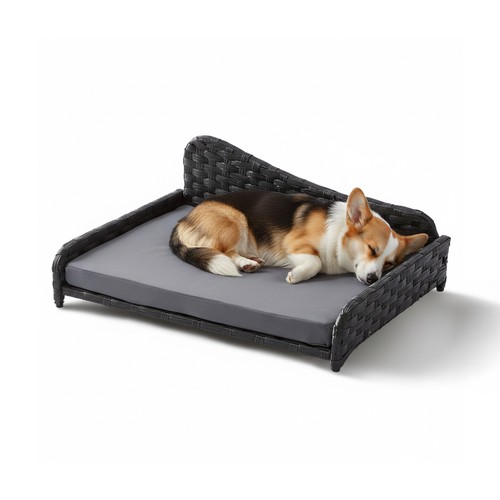 Dog bed sofa - dog,