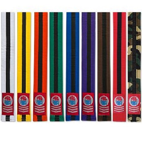 Martial arts rank - martial,