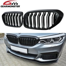 DOUBLE SLAT BLACK KIDNEY GRILL