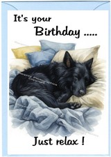 Groenendael belgian shepherd - groenendael,