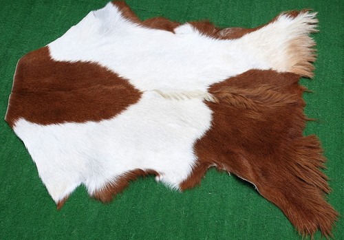 Genuine goat hide hair - goat,