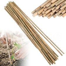 20 Pcs Bamboo Garden Canes