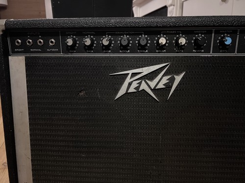 Vintage 1970s peavey - vintage,