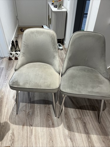 Grey soft velvet dining chairs - grey,